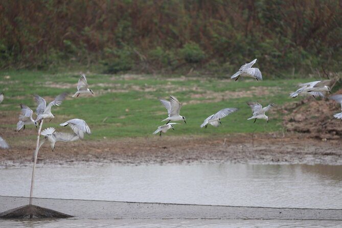 Full day Cambodia Buggy Adventure Tour - Who Should Consider This Tour?