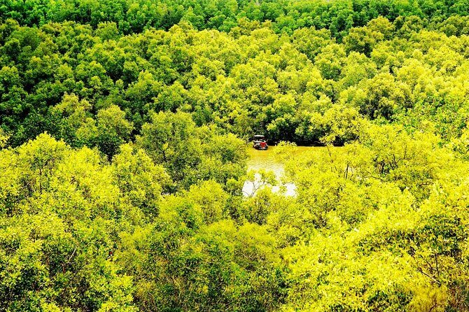 Full-Day Can Gio Mangrove Private Guided Forest Exploration - Discovering the Can Gio Mangrove Forest: What to Expect