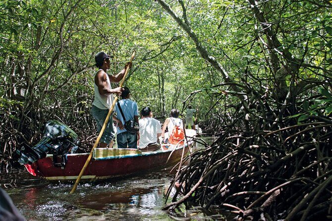 Full-Day Can Gio Mangrove Private Guided Forest Exploration - Authentic Experiences from Reviews