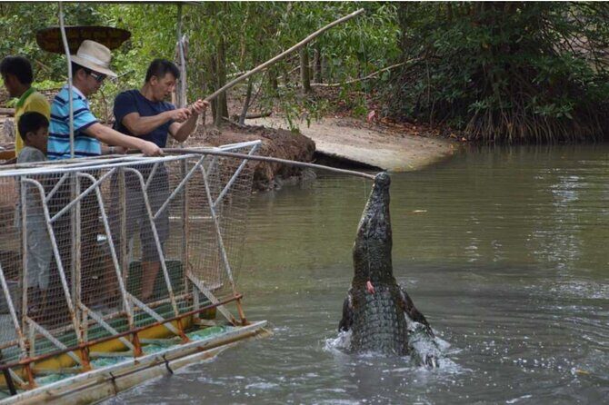 Full-Day Can Gio Mangrove Private Guided Forest Exploration - FAQ