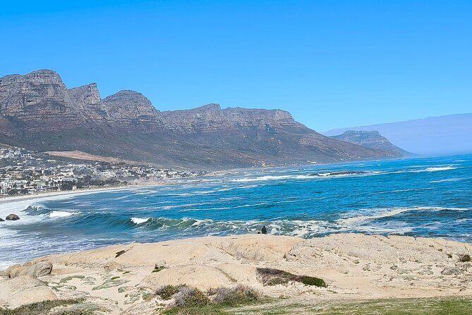 Full Day Cape of Good Hope and Boulders Beach Penguins Tour - Final Thoughts