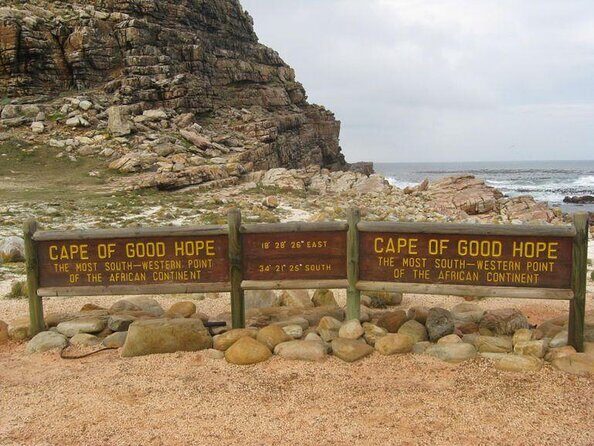 FULL Day Cape of Good Hope and Boulders Penguin Colony - Full Review of the Full Day Cape of Good Hope and Boulders Penguin Colony Tour