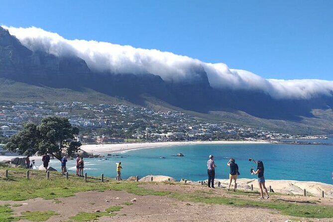 FULL Day Cape of Good Hope and Boulders Penguin Colony - A Closer Look at the Itinerary