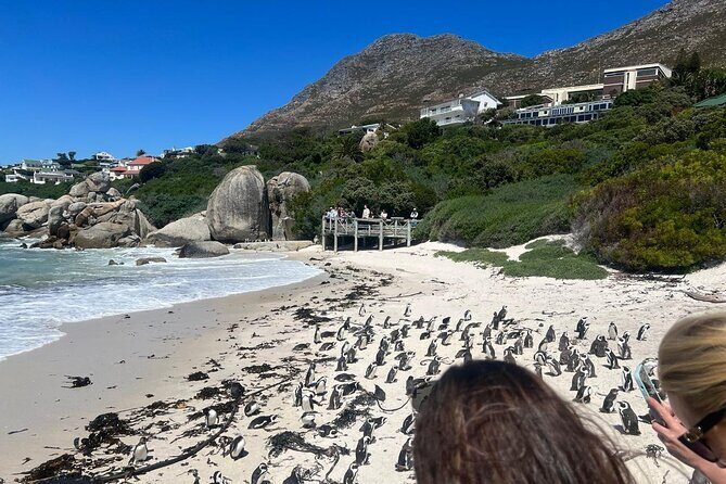 Full-Day Cape of Good Hope and Table Mountain with Penguins Tour - FAQ