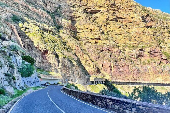 Full Day Cape Peninsula, Bo Kaap & Penguins Small Group Tour - Who Will Love This Tour?