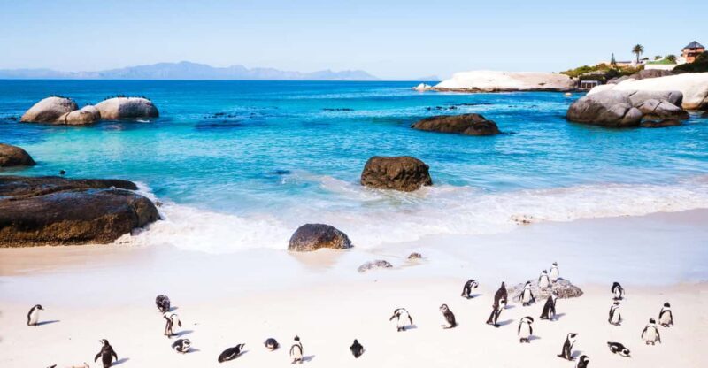 Full Day Cape Peninsula Tour - Key Points