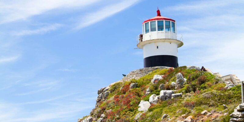 Full Day Cape Peninsula Tour - Authentic Experiences and Insights