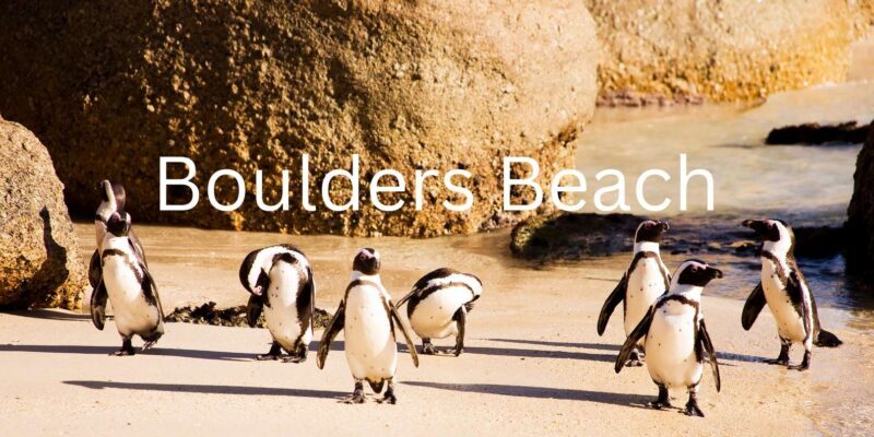 Full Day Cape Peninsula Tour - Practical Tips for Travelers
