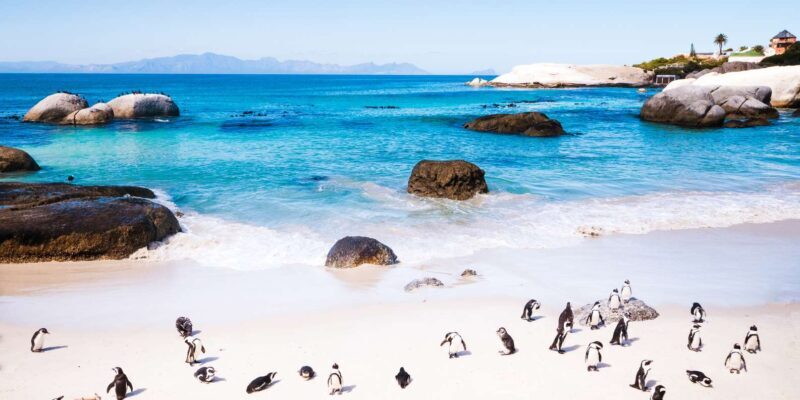 Full Day Cape Peninsula Tour - Why This Tour Offers Good Value