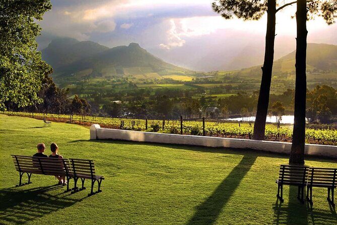 Full Day Cape Peninsula Tour - Exploring the Itinerary in Detail