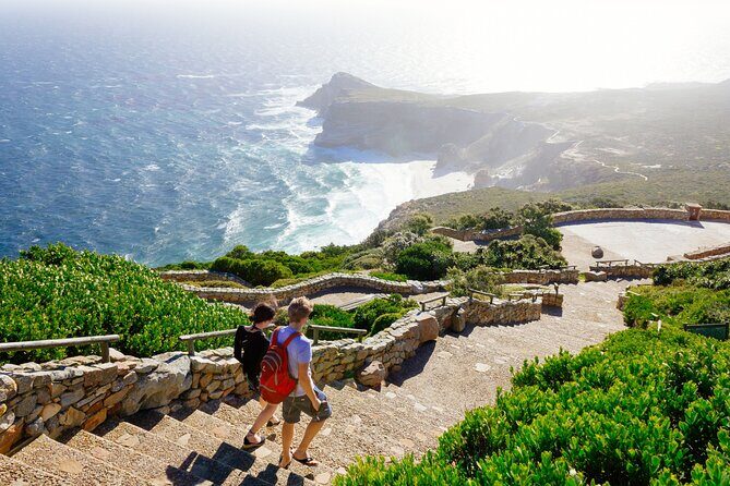 Full Day Cape Peninsula Tour - Practical Tips for a Smooth Experience