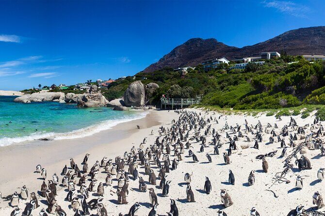 Full Day Cape Peninsula Tour - Final Thoughts