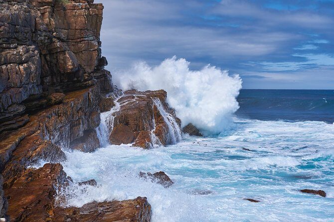Full Day Cape Peninsula Tour in Private Car - Practical Tips & Considerations  