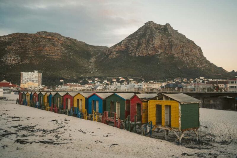 Full day Cape Penisula Tour: Chapman's Peak - Cape Point - The Authentic Experience: Insights from Travelers