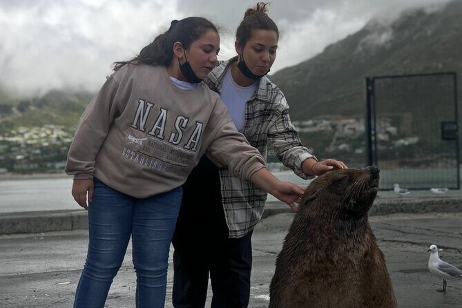 FULL Day Cape Point and Boulders Penguin Colony - The Sum Up