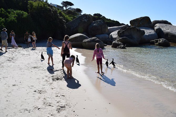 Full day Cape Point + Constantia Wine Tour with Private Transfer - FAQ