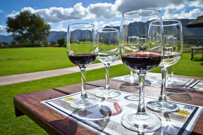 Full day Cape Winelands ( Stellenbosch and Franschoek ) - How the Experience Comes to Life