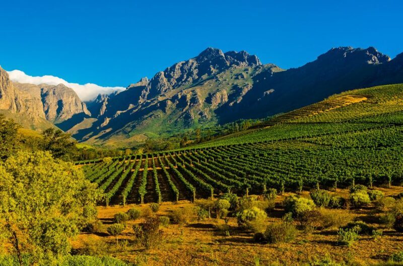 Full-Day Cape Winelands Tour - Key Points