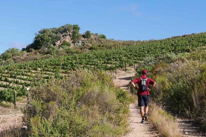 Full-Day Cape Winelands Tour - Key Points