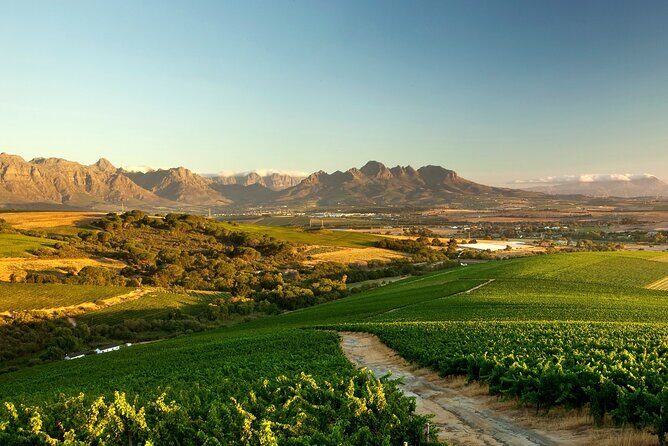 Full-Day Cape Winelands Tour - Exploring the Itinerary in Detail