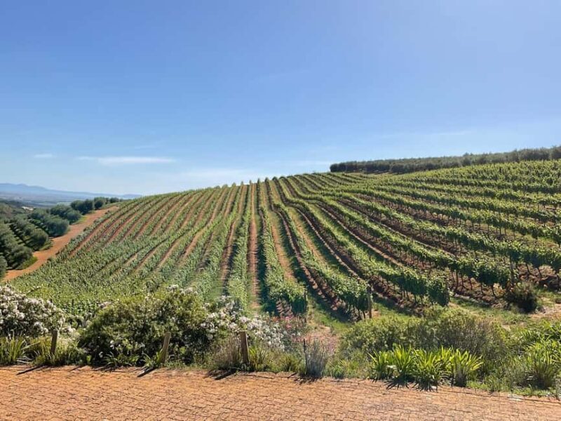 Full Day Cape Winelands Tour: Franschhoek & Stellenbosch - Whats Included and What’s Not