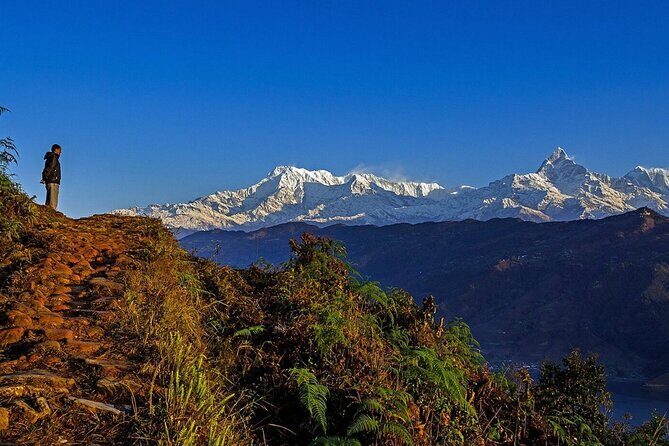 Full Day Car Drive to Explore Places of Interest of Pokhara - Key Points