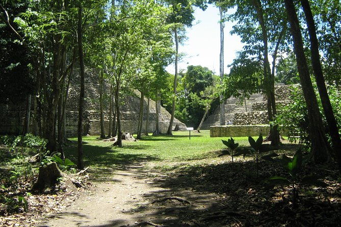 full-day-caracol-maya-temple-and-pine-ridge-forest-reserve
