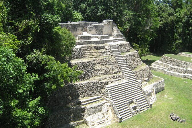 full-day-caracol-maya-temple-and-pine-ridge-forest-reserve