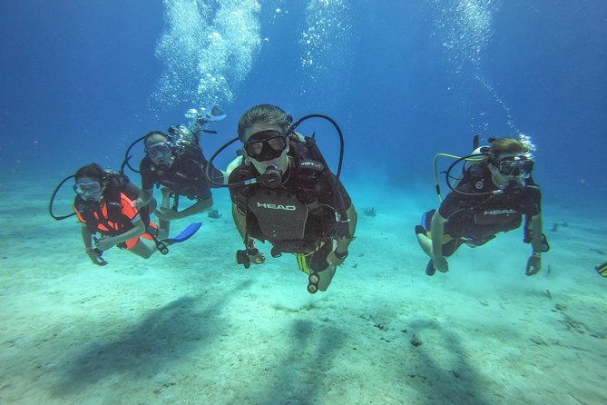 full-day-catalina-island-scuba-diving-tour-from-la-romana