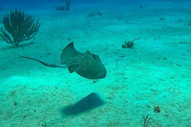 full-day-catalina-island-snorkeling-tour-from-bavaro