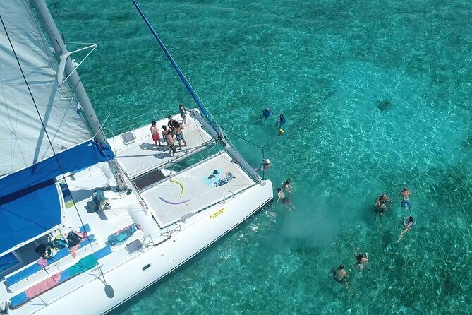 Full Day Catamaran Cruise on shared basis to Bénitiers Island - The Sum Up