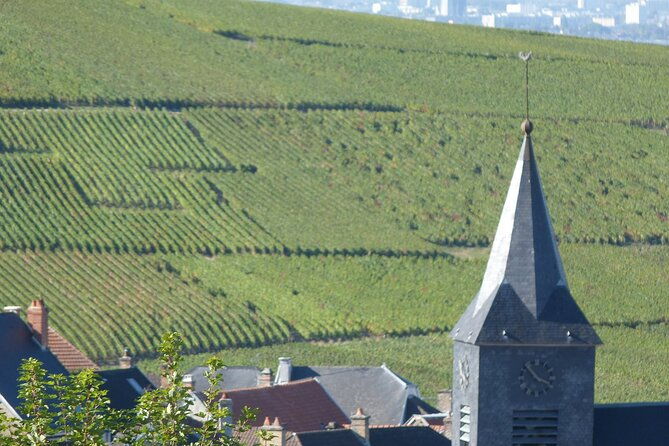 full-day-champagne-pommery-small-group-tour-2