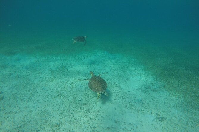 full-day-charter-from-fajardo-to-culebra