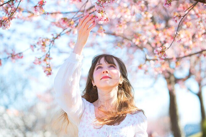 Full Day Cherry Blossom Hunting Tour from Seoul - Key Points