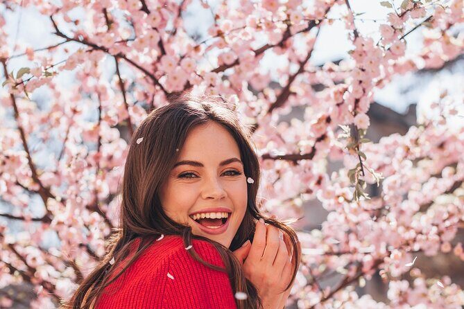 Full Day Cherry Blossom Hunting Tour from Seoul - In-Depth Look at the Tour