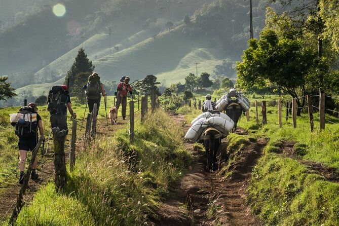 full-day-climbing-the-cocora-valley-with-lunch
