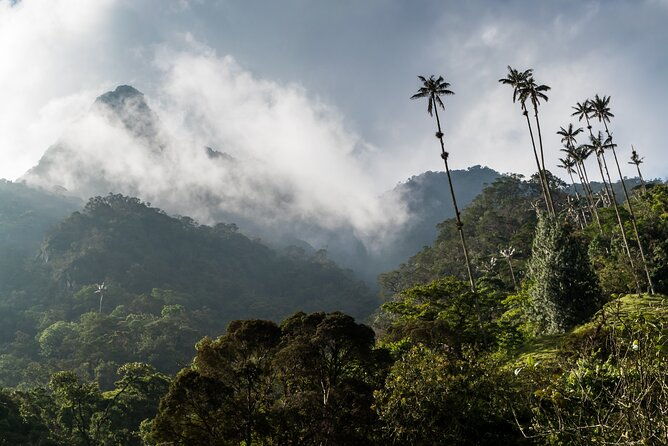 full-day-climbing-the-cocora-valley-with-lunch