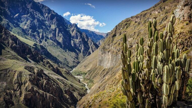 full-day-colca-canyon-tour-from-arequipa-2