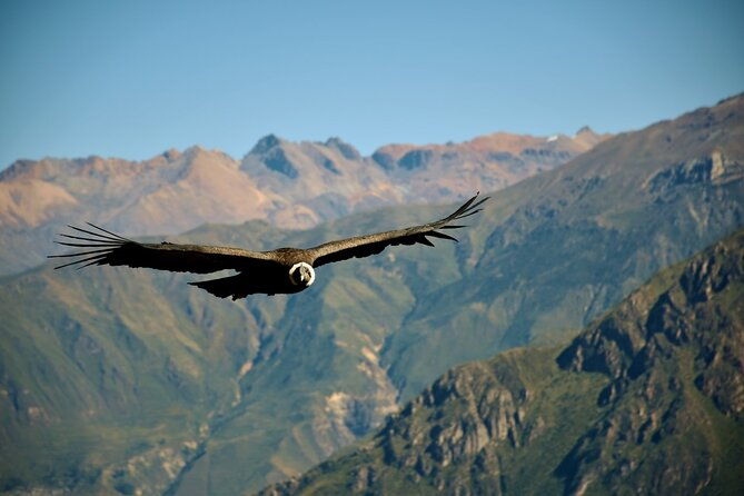 full-day-colca-canyon-with-entrances-from-arequipa