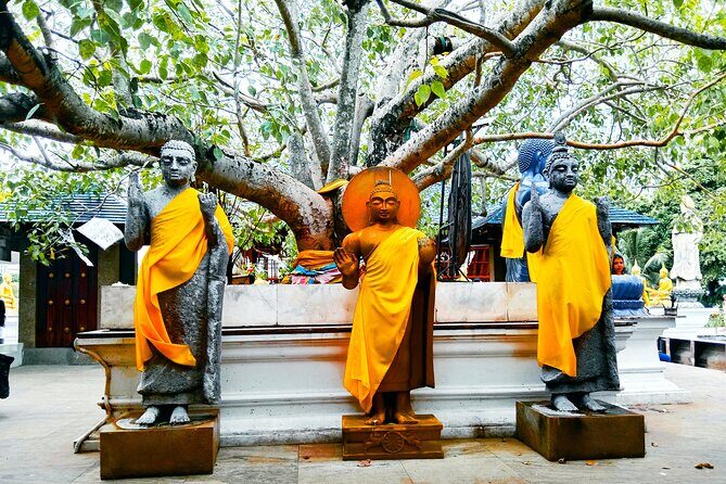 Full day Colombo City Tour - Private Air Condition Car and Driver - FAQs