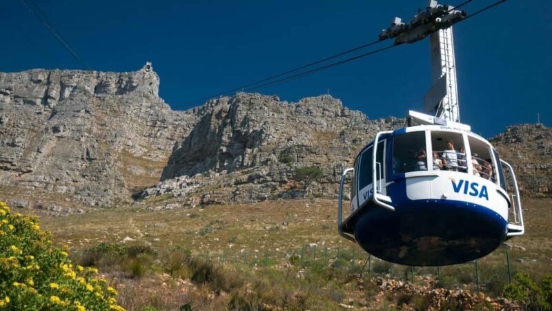 Full Day Constantia Wine Tasting and Table Mountain - An In-Depth Look at the Tour Experience