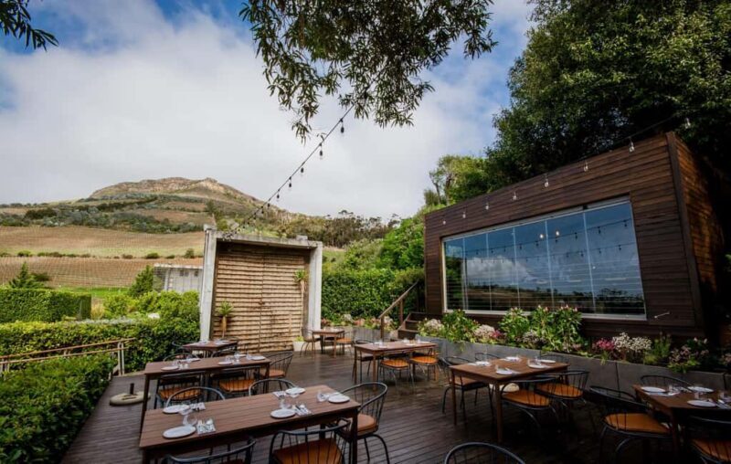 Full Day Constantia Wine Tasting and Table Mountain - Who Is This Tour Best For?