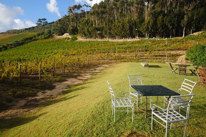 Full-Day Constantia Wine Tour from Cape Town - FAQs