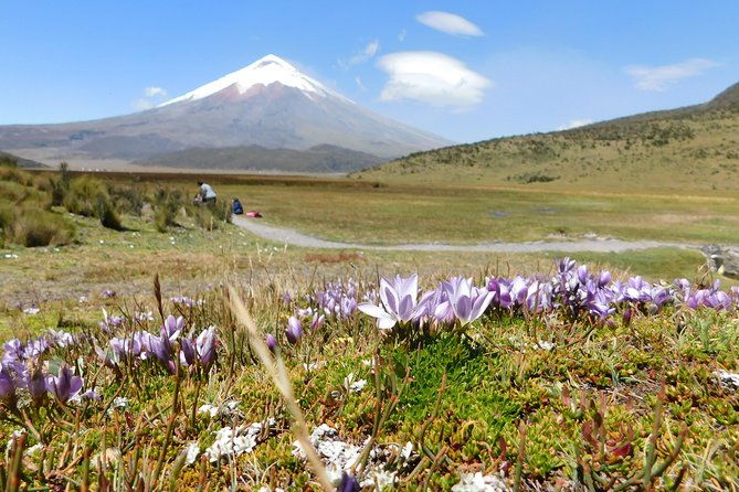 full-day-cotopaxi