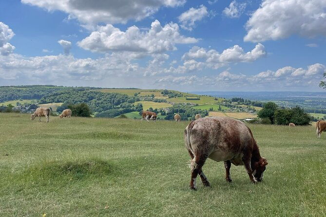 full-day-cotswolds-tour-where-opulence-and-heritage-converge