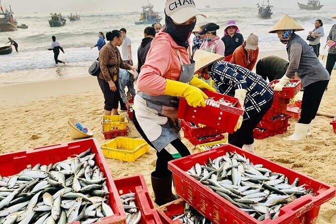 Full Day Countryside Motorbike Adventure from Dong Hoi - Final Thoughts