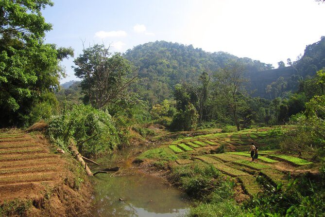 Full Day Crossing the Bolaven Plateau - In Summary: Is This Tour Right for You?