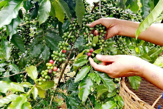 Full Day Crossing the Bolaven Plateau - Final Words