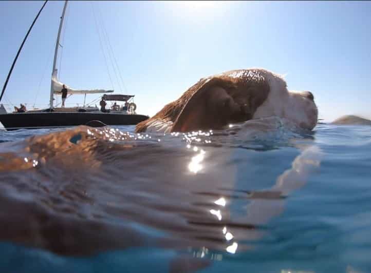 Full Day Cruise in Athenian Riviera - Is This Cruise Worth the Price?