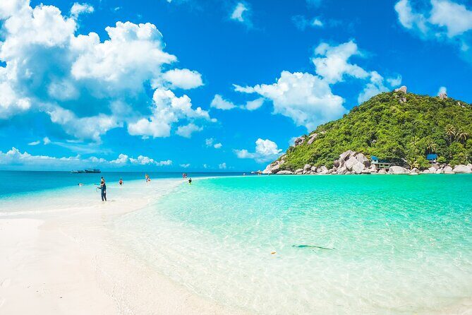 Full-Day Cruise of Koh Nang Yuan and Koh Tao From Koh Samui - Key Points